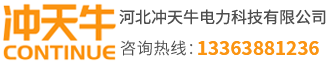 冲天牛电力